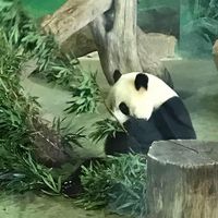 Pierre-Yves Godefroy