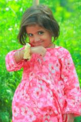 Nirman Gul