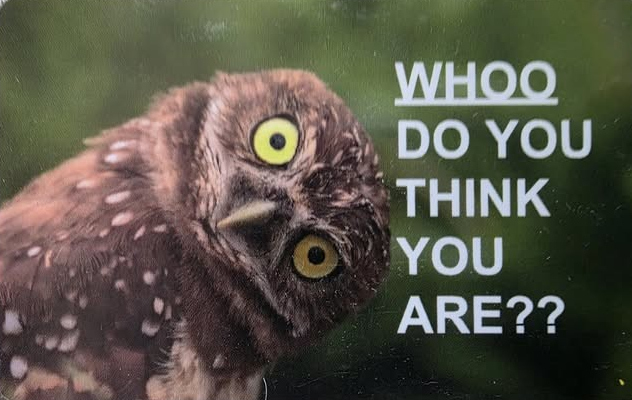 WHOO DO YOU THINK YOU ARE????