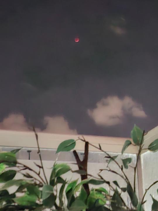 רותם אייזיק