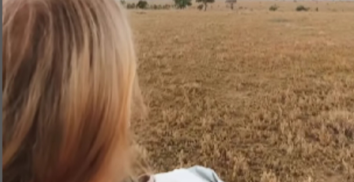 Eco-Explorer's Handbook