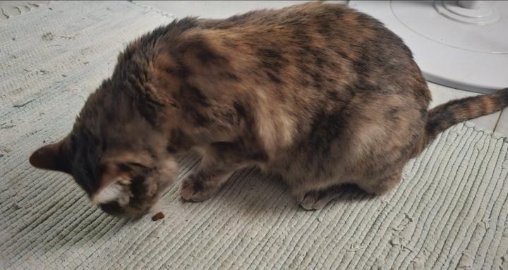 Ali's MENtal Health Corner