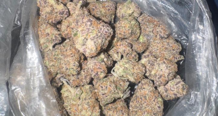 Bigdawg session