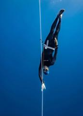 Albert Martinez Saura