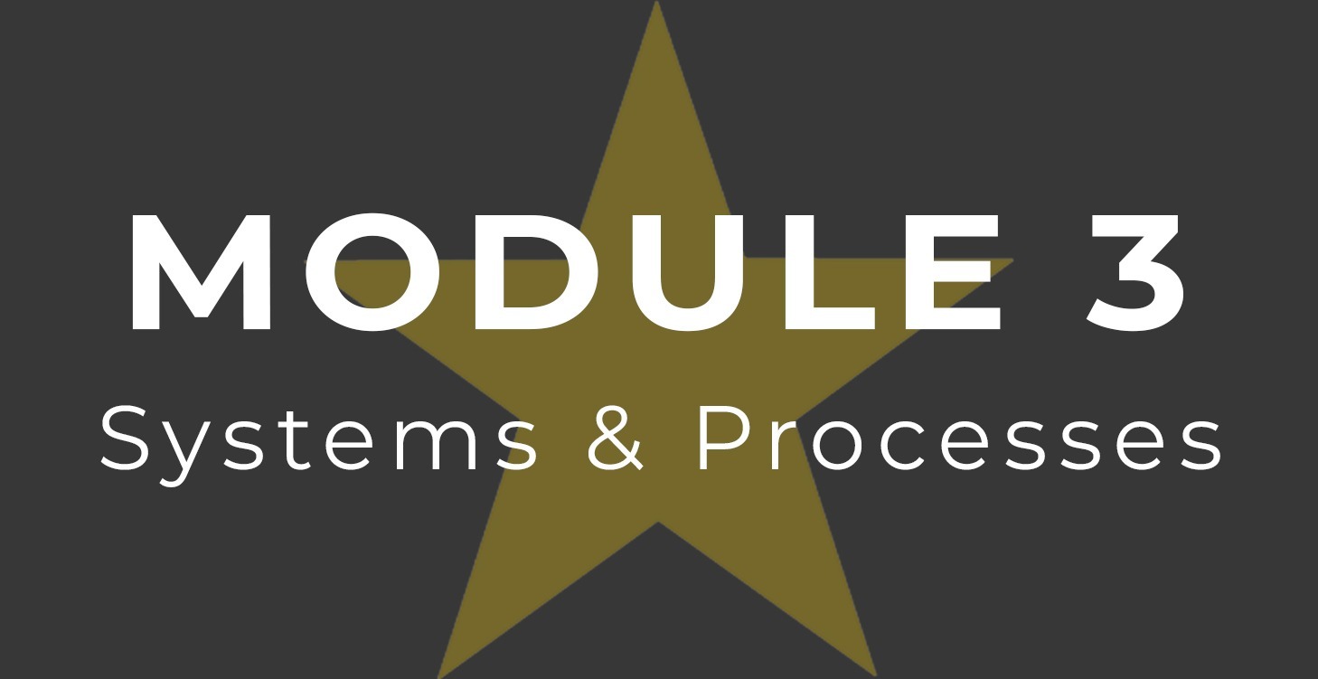 Module 3 - Systems and Processes