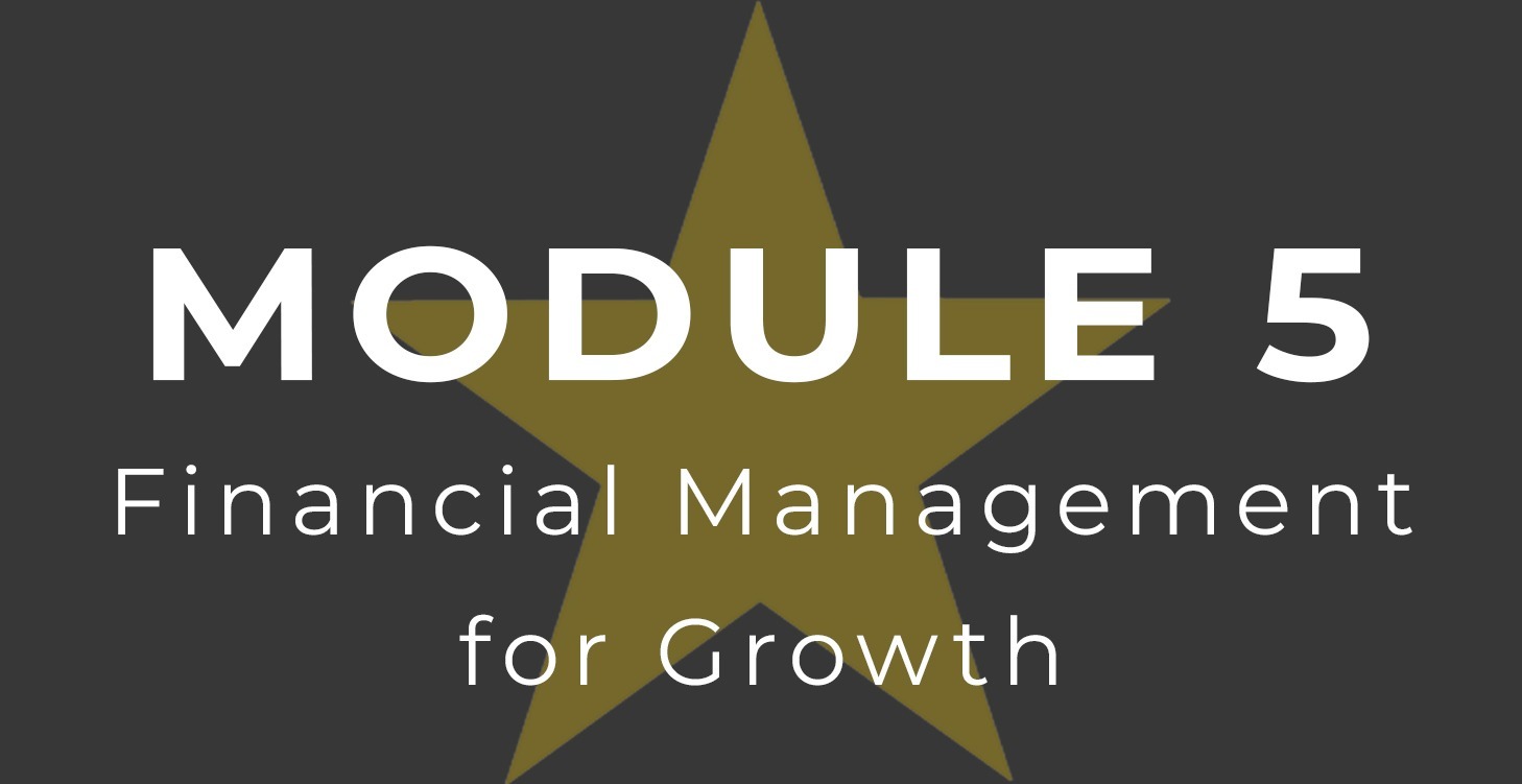 Module 5 - Financial Management for Growth