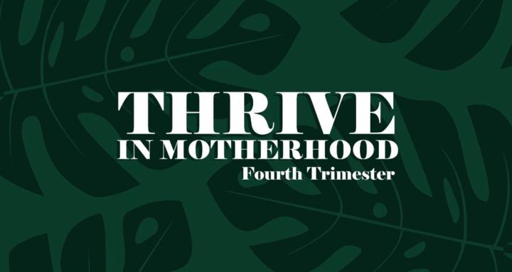 Thrive In Motherhood
