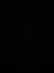 Rayane -Blhdj