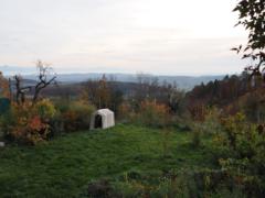 Antina van Duijvenvoorde