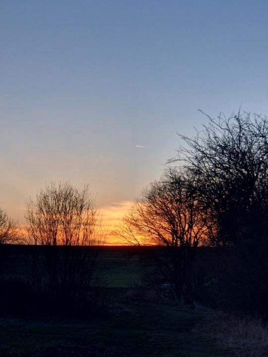 Györgyi Rozálua Kirchner