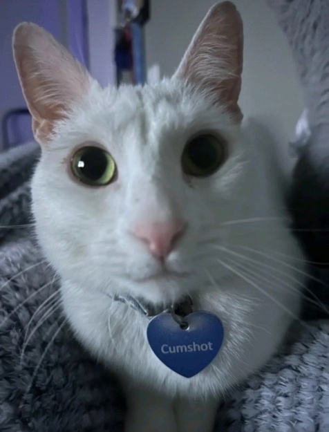 I loooooove Gd cologne