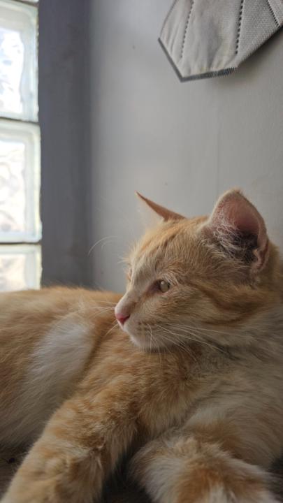 Venkat Charan Chadalawada