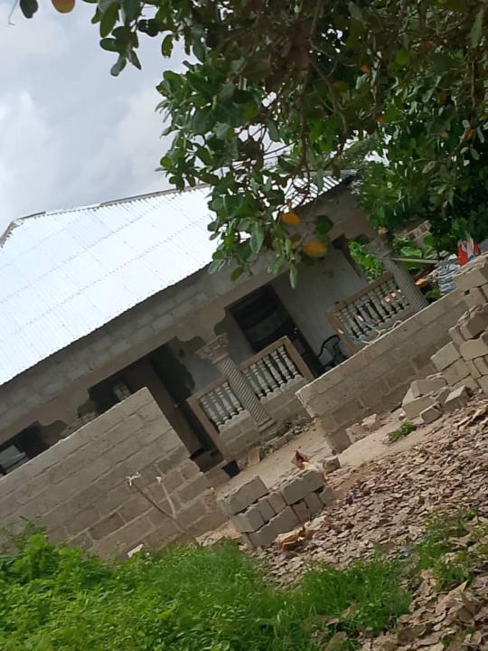Sainey Jaiteh
