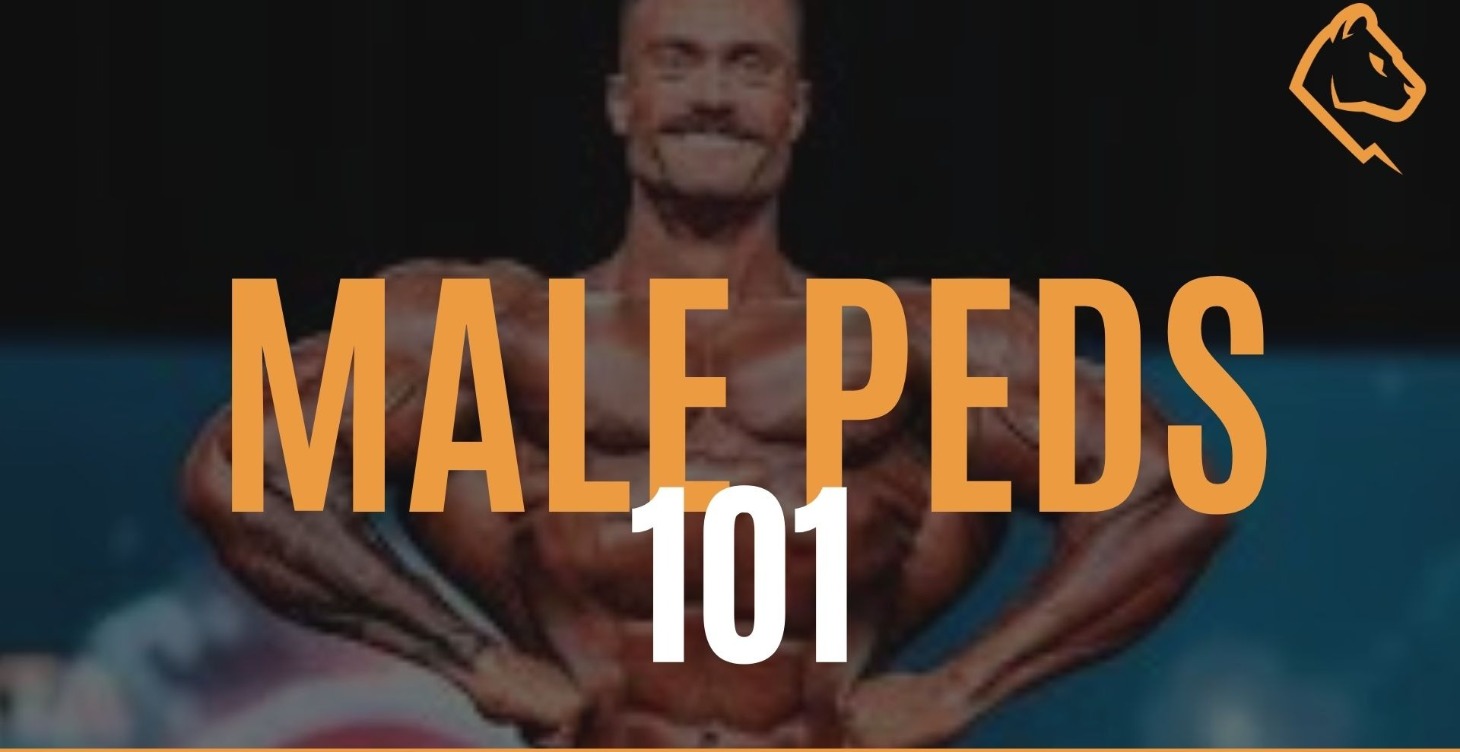 Male PEDs 101