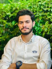 Anas Naseer Awan