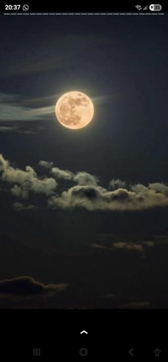 Hasnae El amri tinyali