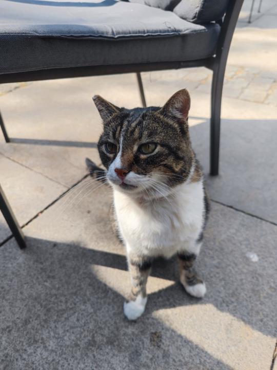 Борис Атасов