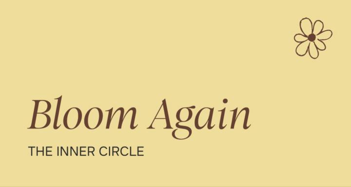 Bloom Again