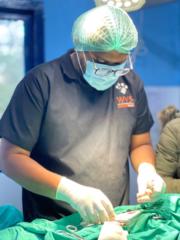 Krishna Chaitanya Arikilla