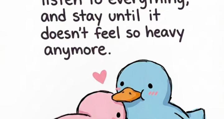 Safe Haven 4 All Shapes