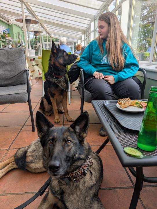 Day out for Jeka and Enzo