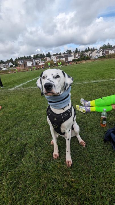 Team Mascot!