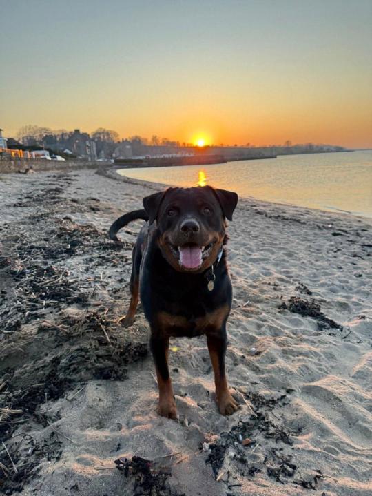 Living life 🌅