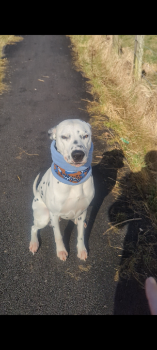 Fun in the Sun!