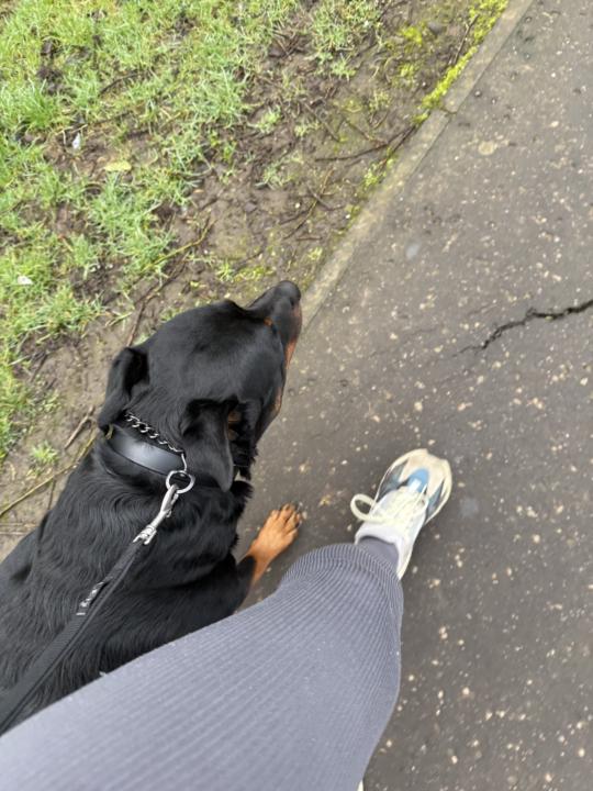 Morning walk 