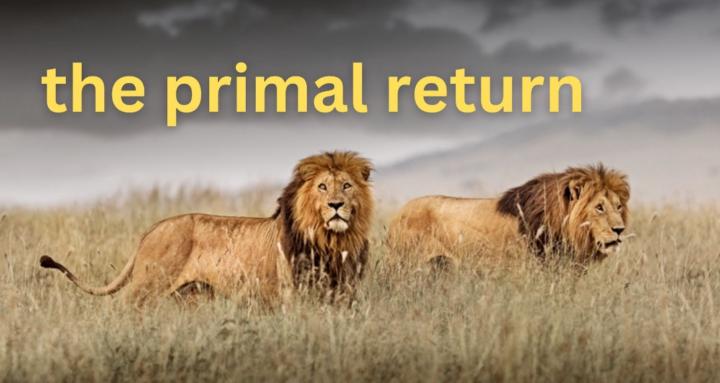 The Primal Return