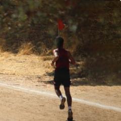 Harkaran Narwal