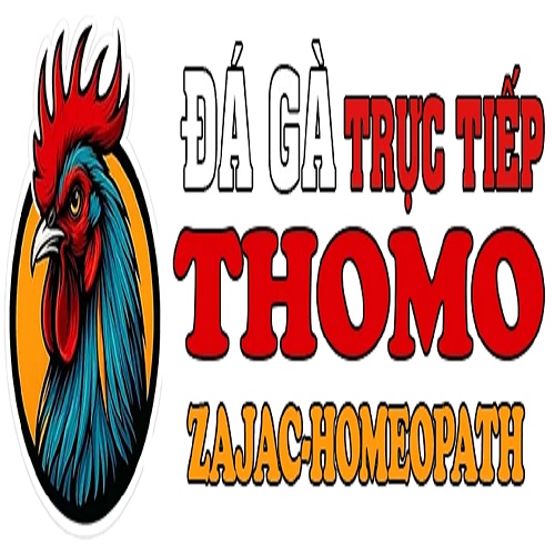 Đá gà thomo Trực tiếp
