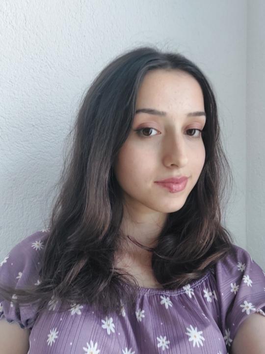 Ajla Bulić