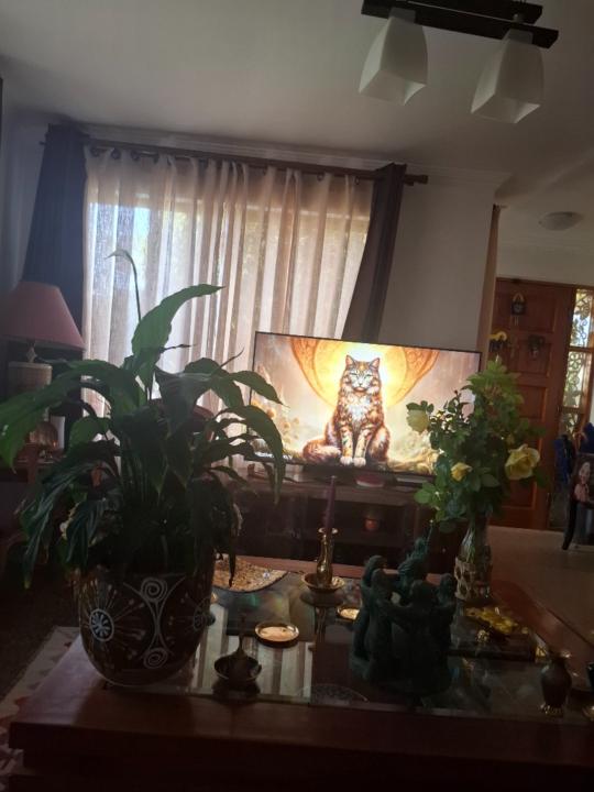 Ana Maria Hauway Tirado