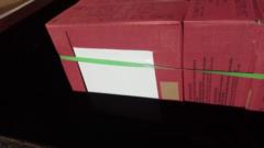 Ramón Alejandro Navarro