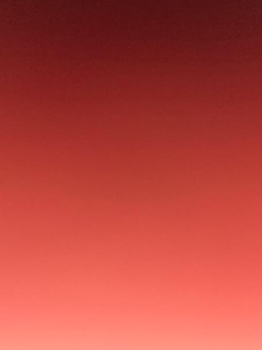 J T