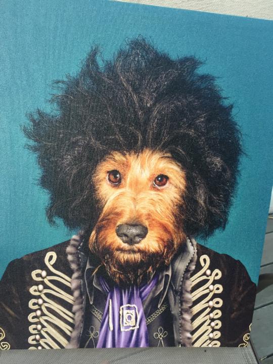 Brian Mag
