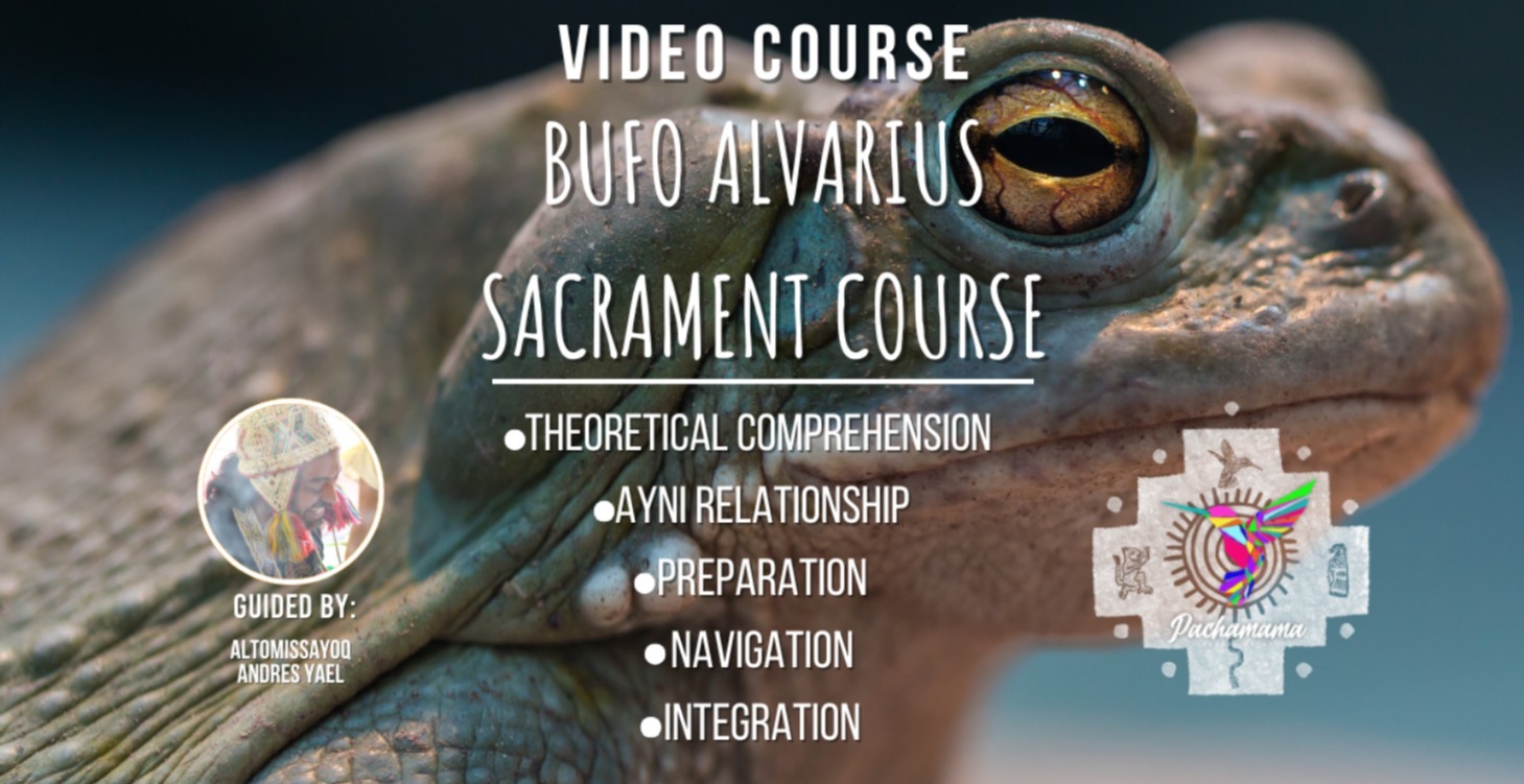 Bufo Alvarius Sacrament Course