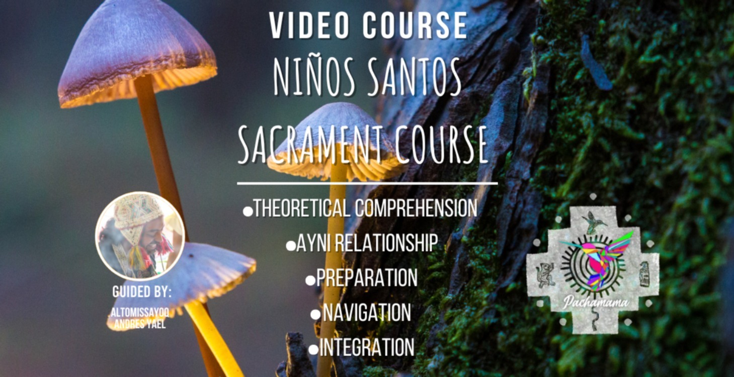 Niños Santos Sacrament Course