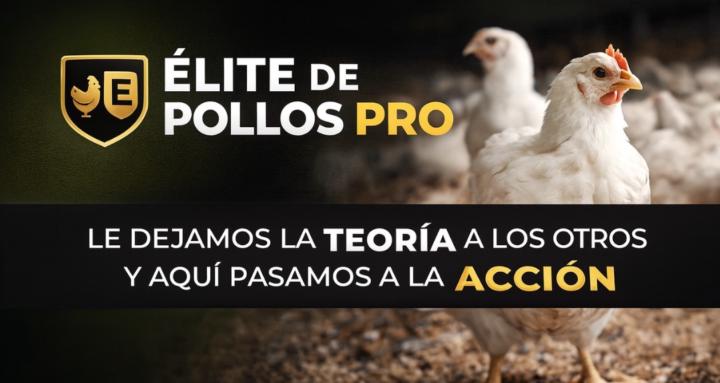 Élite de Pollos Profesional 