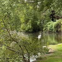 Anupama Nagarajakumar