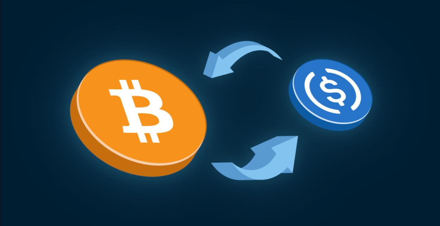 Module 2: The Bitcoin Borrow Strategy Loop