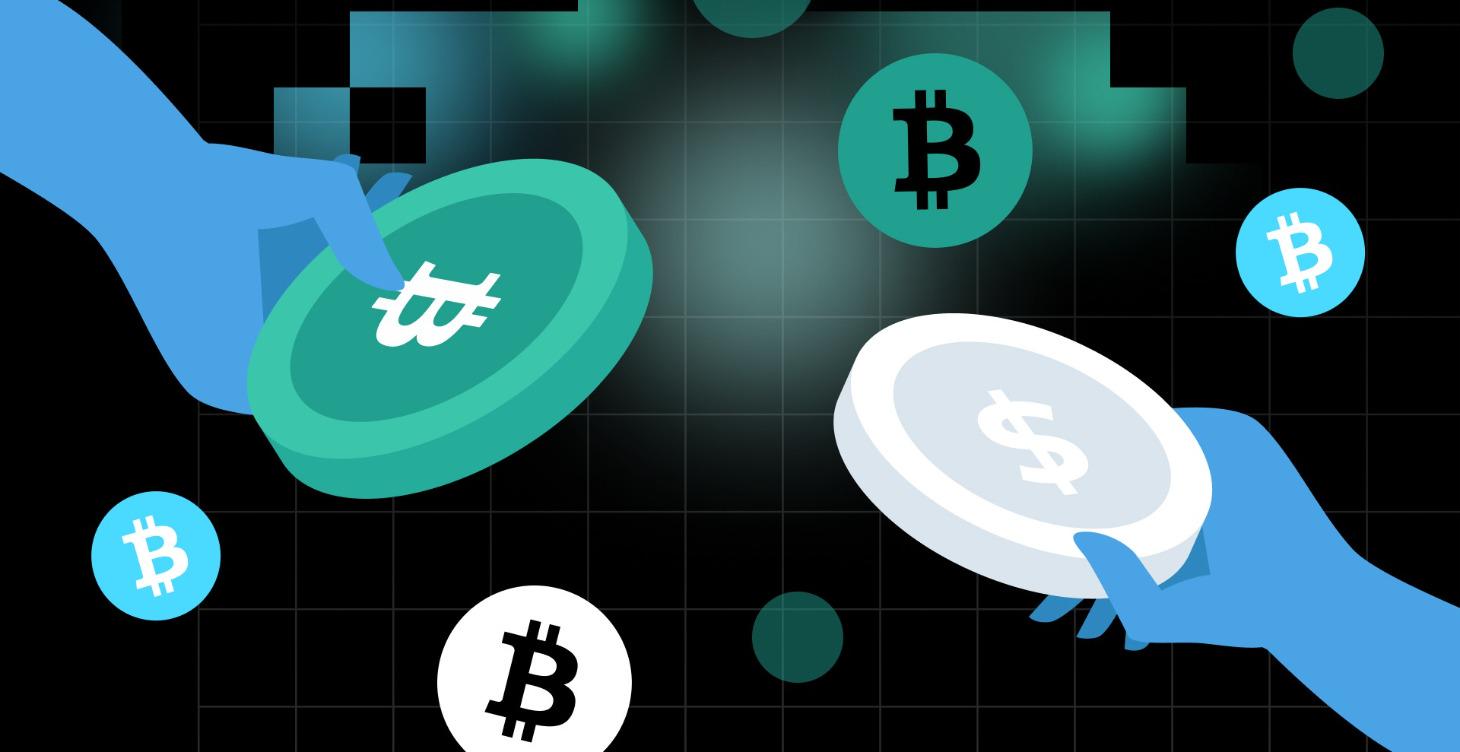 Bitcoin Borrow Loop Worksheet - Instructions