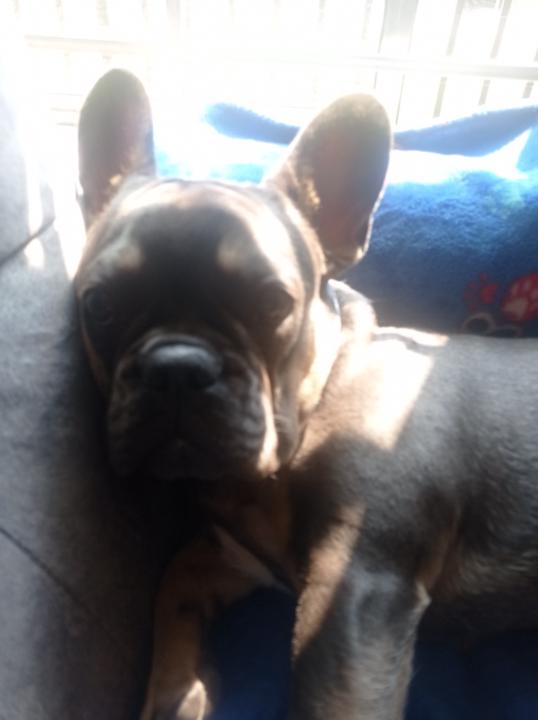 Luis Fernando Sabroso Cortes