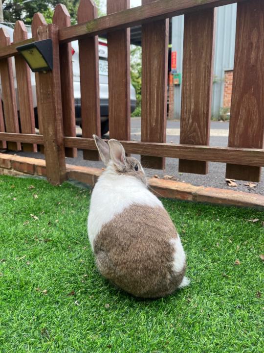 Vivian Yuan