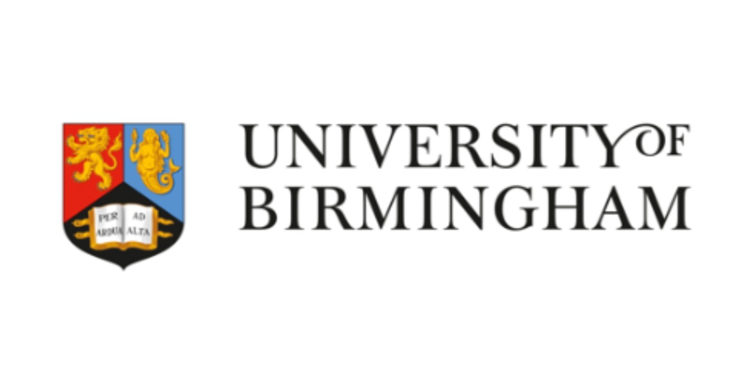 Birmingham Guide & Mock MMI