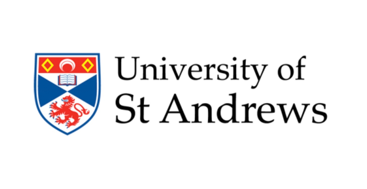 St Andrew's Guide & Mock MMI