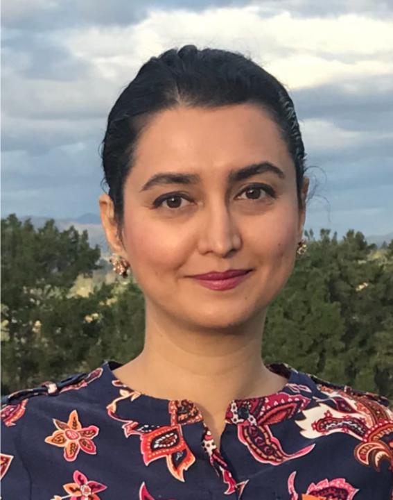 Samira Mirtalaei