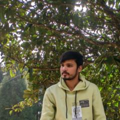 Anas Ahmad