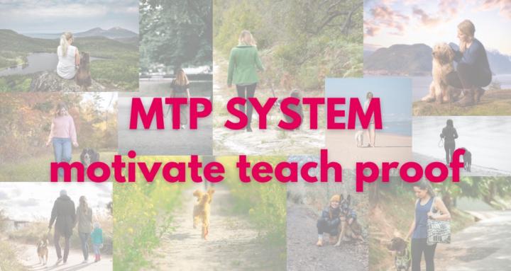 MTP SYSTEM TEAM